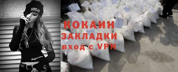 дживик Ельня