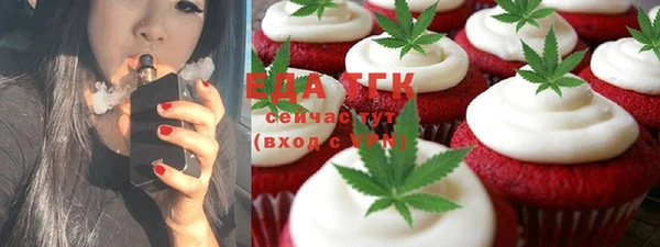 дживик Ельня