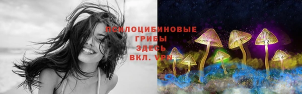мет Каменка