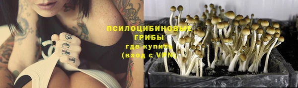 мдпв Инсар