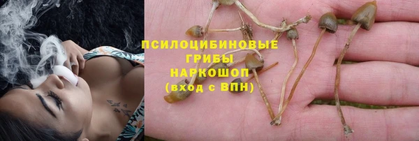 молекула духа Сосновка