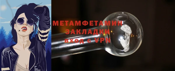 дживик Ельня