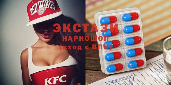 мдпв Инсар
