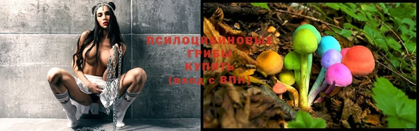 мет Каменка